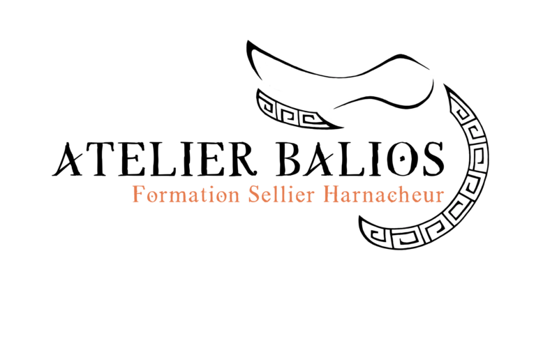 Logo fini transparent 768x512